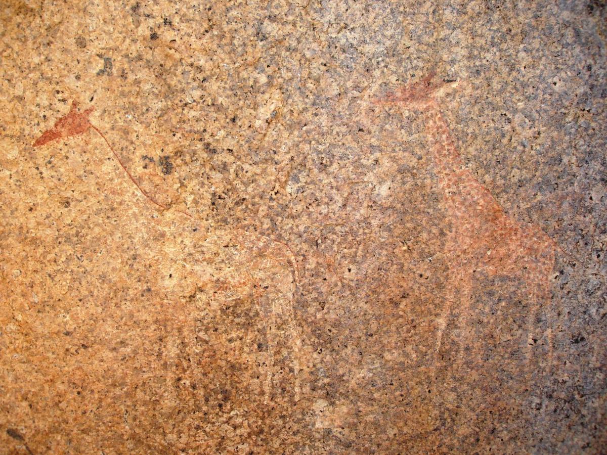 Ai Aiba - The Rock Painting Lodge 오마루루 외부 사진